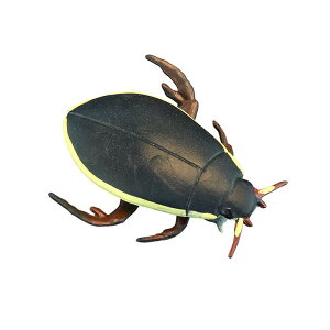 V~  tBMA ͌^  zr[ l` RNV CeA ~j`A A q V~[V Mtg  fBXvC i