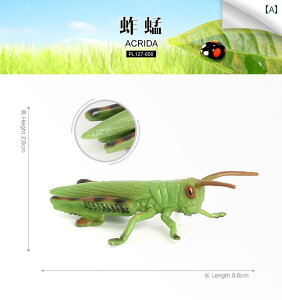 ob^ J}L A  tBMA ͌^  zr[ l` RNV CeA ~j`A A q V~[V fBXvC 