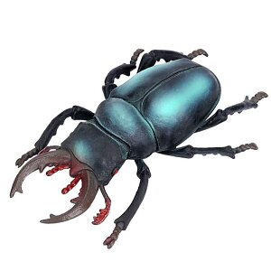  tBMA ͌^  zr[ l` RNV CeA ~j`A A 傫 q Ă񂤒 N T\ j̎q `bN 