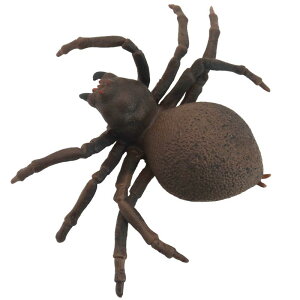 N Jf T\  tBMA ͌^  zr[ l` RNV CeA ~j`A  V~[V VR  gJQ