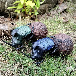  tBMA ͌^  zr[ l` RNV CeA ~j`A A V~[V  q  `bN v[g R