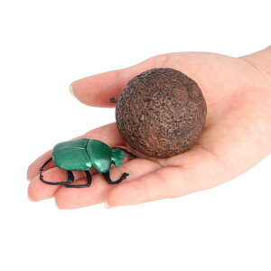  tBMA ͌^  zr[ l` RNV CeA ~j`A A tRKV q  `bN fBXvC Mtg