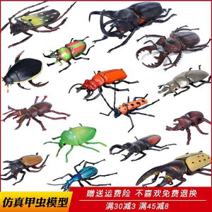  tBMA ͌^  zr[ l` RNV CeA ~j`A A JugV NK^ q v[g  `bN