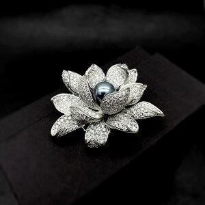 u[` fB[X t@bV ANZT[ Ǝ w RT[W u[` s ؍ 