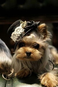 nbg X`[ pN ~j ybg Xe[W ʐ^ L   g 킢 nbg Xq