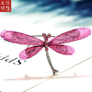 u[` w Ǝ Vv g{ RT[W fB[X ANZT[ J[fBK ؍  Œ s t@bV i