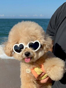 L ybg i t@bV ANZT[ Kl S[O TOX n[g  ώO