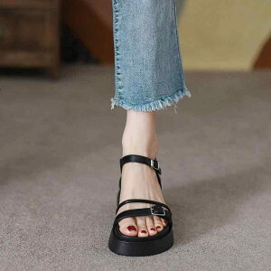 T_ fB[X xgXgbv tbg KR[f ؂  V[Y  킢 ꂢ 킹₢ ₢  x Cxg tFX W[ r[` p[eB[