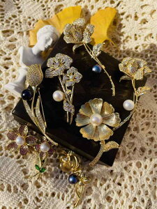 u[`  Ǝ w Zj[ fB[X 蕨 W p[ fB[X [Y `[bv RT[W ؍ 