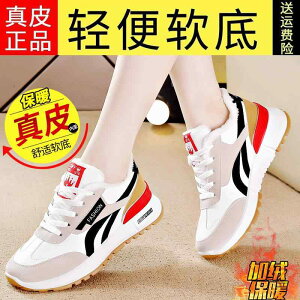 X|[c V[Y ^C ʂ tHXgKv C ̎q jO V[Y H~ w  g ȌC [XAbv tbg