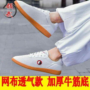 太極拳 シューズ 武術 体操 トレーニング 靴 シューズ ブーツ 軽量 滑りにくい ソフト 厚 武道 カンフー 通気性 スポーツ 布 外出 メンズ レディース兼 ユニセックス
