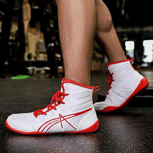 t@CeBOV[Y {NVO V[Y Y W   g[jOV[Y fB[X T_ V[Y t@CeBO t[ XOV[Y