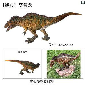  tBMA ͌^ l` v[g CeA ~j`A RNV Mtg Ȋw  LbY  zr[ WI q V~[V 