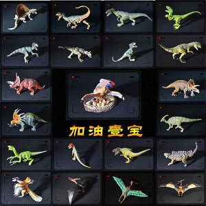  tBMA ͌^ l` LbY  zr[ WI q V~[V   RNV CeA ~j`A A v[g