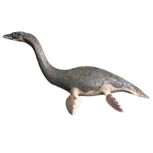  tBMA ͌^ l` LbY  zr[ WI g Cm `bN  q v[g  RNV CeA ~j`A