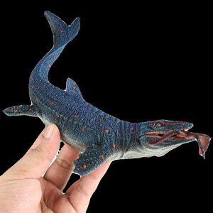   zr[ tBMA ͌^ l` q RNV CeA ~j`A Mtg A  Cm  V~[V TTEX