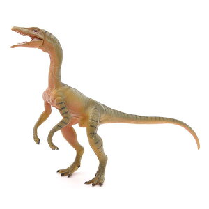  tBMA ͌^ l` LbY  zr[ WI V~[V  q v[g  RNV CeA ~j`A A