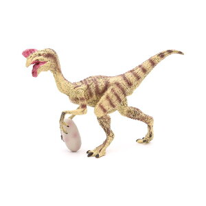  tBMA ͌^ l` LbY  zr[ WI  A RNV CeA ~j`A V~[V vg  q 