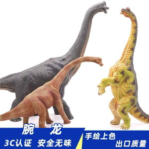  tBMA ͌^ l` LbY  zr[  A V~[V uLITEX  q j̎q RNV CeA ~j`A