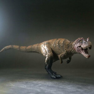  tBMA ͌^ l` LbY  zr[ WI PgTEX j̎q q RNV CeA ~j`A v[g `bN