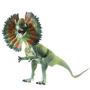  tBMA ͌^ l` LbY  zr[ WI fBtHTEX RNV  ~j`A CeA q j̎q V~[V 