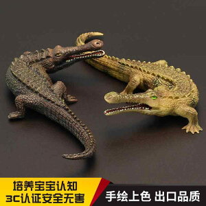  tBMA ͌^ l` LbY  zr[ WI q j g j RNV  CeA ~j`A A v[g