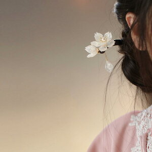 wAwAANZT[ 񂴂 wAs    ԕ ^bZ  l ̓ Mtg g  _ `Ci g fB[X Vv i` i Be 