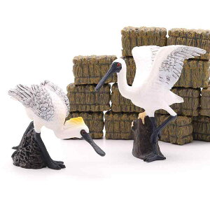  tBMA ͌^ l`  zr[ K[fjO I[ig V~[V  q  u RNV CeA ~j`A v[g fBXvC 킢