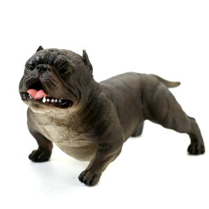   tBMA  l` h[ zr[ AJ q ߋ A `bN v[g CeA RNV u ~j`A 