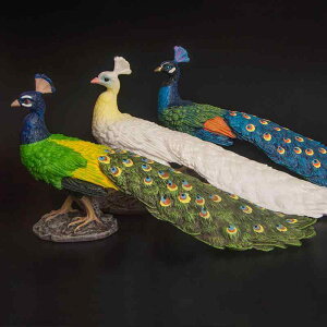  tBMA ͌^ l`  zr[ K[fjO I[ig  `bN o[h RNV CeA ~j`A q j̎q ̎q E v[g