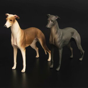   tBMA  l` h[ zr[ q CeA RNV ~j`A A u V~[V v[g j̎q ̎q