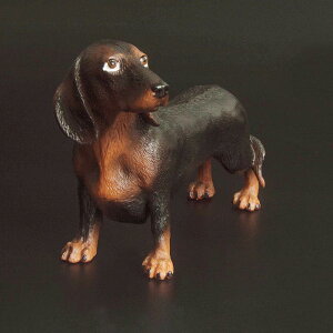   tBMA  l` h[ zr[ V~[V _bNXtg `bN q ߋ A j̎q Mtg RNV CeA ~j`A