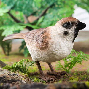  tBMA ͌^ l`  zr[ K[fjO I[ig o[h RNV CeA ~j`A q  V~[V  XY u A 킢