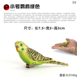 鳥 フィギュア 模型 人形 おもちゃ ホビー ガーデニング オーナメント 動物 インコ 子供 コレクション インテリア ミニチュア かわいい プレゼント 置物 リアル オブジェ