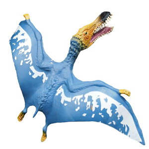  tBMA ͌^ l` LbY  zr[ WI 傫 RNV ~j`A V~[V    q v[g CeA