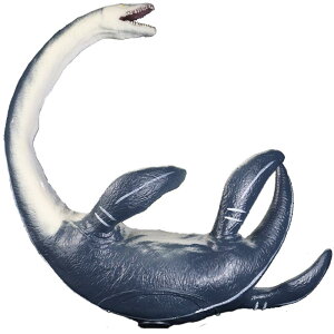  tBMA ͌^ l` RNV ~j`A CeA  zr[ WI V~[V Cm `bN  q  u