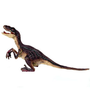  tBMA ͌^ l`  zr[ WI V~[V A `bN vg q Mtg RNV CeA ~j`A