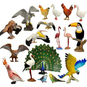  tBMA ͌^ l`  zr[ q V~[V  `bN v[g RNV CeA ~j`A u o[h 