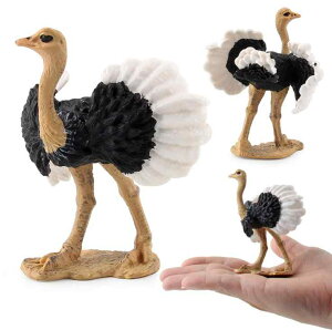 _`E  tBMA ͌^ l`  zr[ o[h RNV CeA ~j`A `bN  q  u