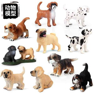   tBMA  l` h[ zr[ q 킢 RNV CeA `bN v[g ~j`A ͌^