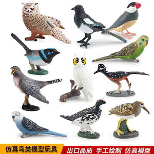  tBMA K[fjO I[ig l` LbY  zr[ o[h u V~[V RNV CeA ~j`A v[g `bN fBXvC