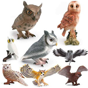  tBMA ͌^ l`  zr[ o[h u RNV CeA ~j`A q Ȋw  V~[V  v[g A