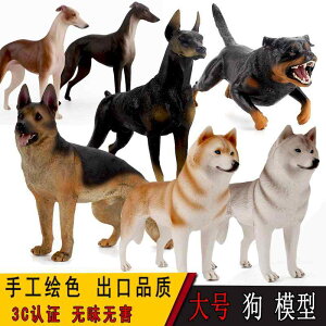   tBMA  l` h[ zr[ V~[V q nXL[ _VA VFp[h RNV CeA ~j`A A