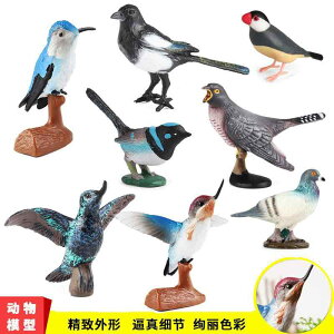  o[h tBMA ͌^ l`  zr[ q n`h RNV CeA ~j`A u `bN v[g