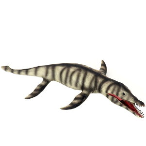  tBMA ͌^ l` LbY  zr[ WI Cm  `bN  RNV CeA ~j`A  q _Ci\[