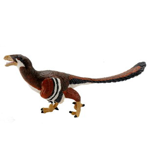  nc tBMA ͌^ l` LbY  ߋ zr[ WVbN `bN  ߋ RNV CeA A v[g ~j`A