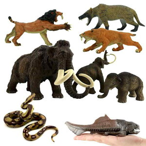 }X tBMA ͌^ l` LbY  ߋ zr[  `bN j g  T[x^CK[ j̎q RNV wK CeA