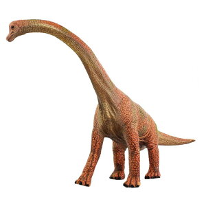  tBMA ͌^ l`  zr[ WVbN V~[V uLITEX  `bN j̎q q v[g RNV m