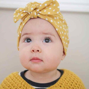 xr[ Xq ^[oLbv L[g  \tg  wbh ی G 킢 c Ԃ  tH O Oo W[ q