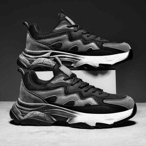 Y H ~ X|[c V[Y L    TCY amC L 46 傫TCY 47  C xxbg ȌC